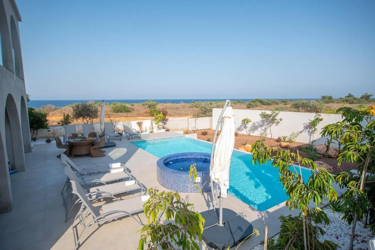 הוילה Protaras Art House Seviews